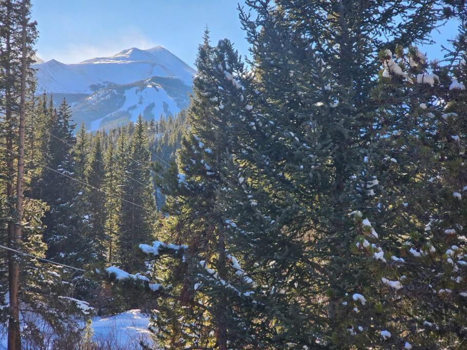 Private And Updated Breck Home With Hot Tub Breckenridge Dış mekan fotoğraf